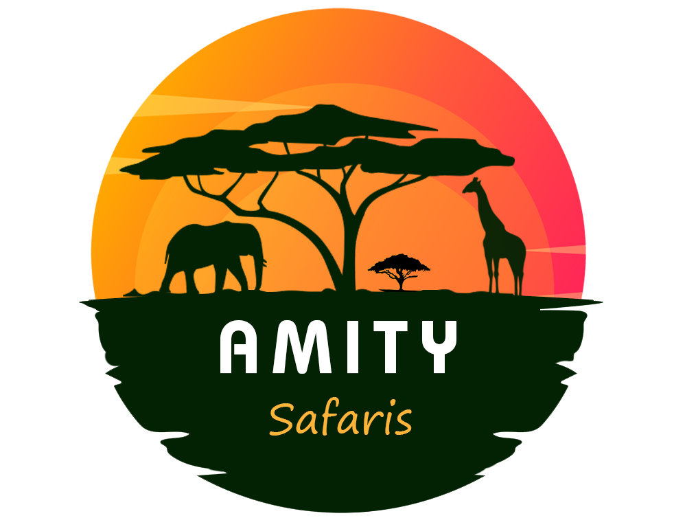 amitylogo